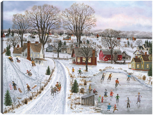 Trineos y patines - Bob Fair