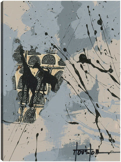 Safari en Gabón 2 - Dan Houston