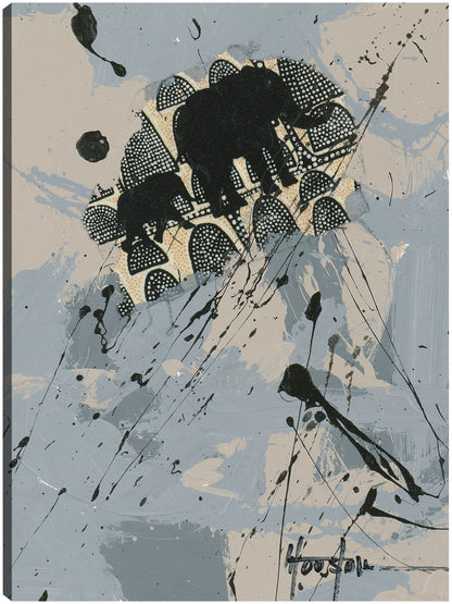 Safari en Gabón 4 - Dan Houston