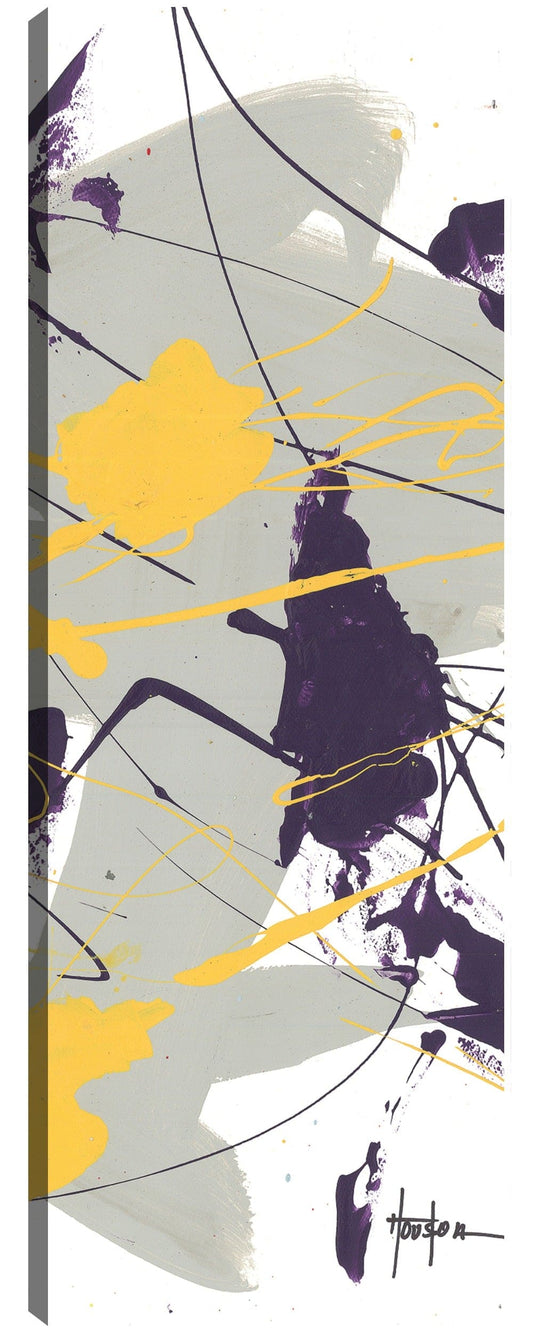 Caos 1 - Dan Houston
