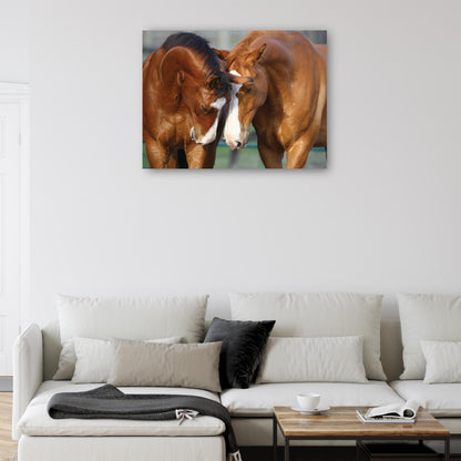 Reunión, Canadian Sport Horses - Bob Langrish