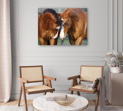 Reunión, Canadian Sport Horses - Bob Langrish