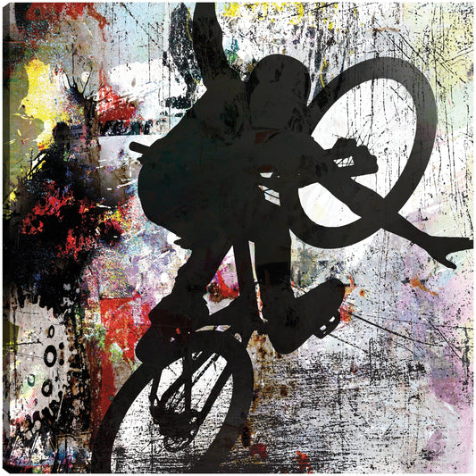 BMX Extremo 4 - LightBoxJournal