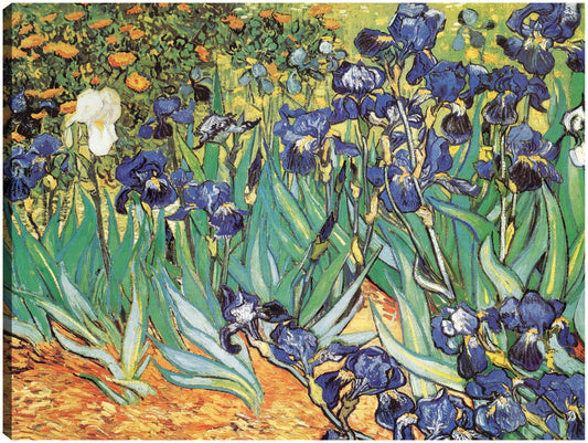Jardín Iris de Van Gogh - Portfolio Arts Group