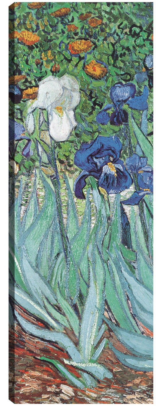 Van Gogh-Iris - Portfolio Arts Group