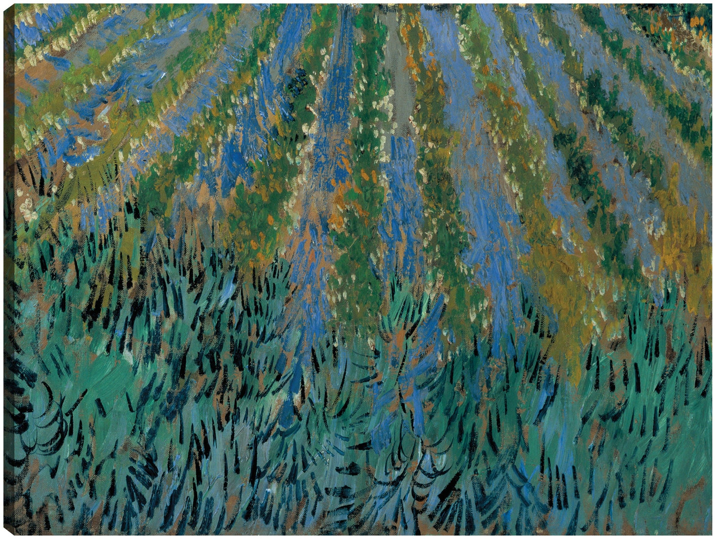 Van Gogh-Lavanda en Saintes-Maries - Portfolio Arts Group