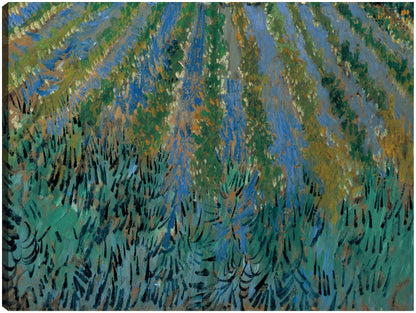Van Gogh-Lavanda en Saintes-Maries - Portfolio Arts Group