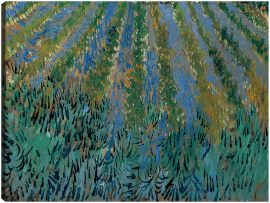 Van Gogh-Lavanda en Saintes-Maries - Portfolio Arts Group