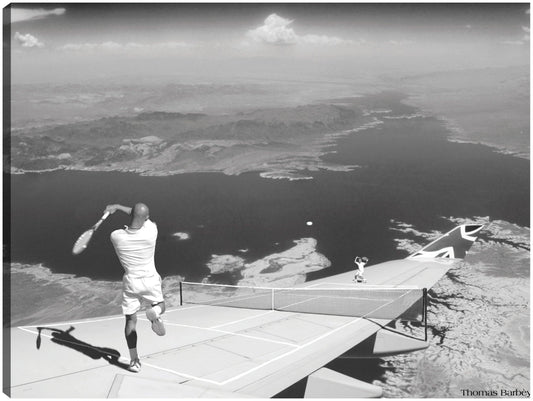 Insolación - Thomas Barbey