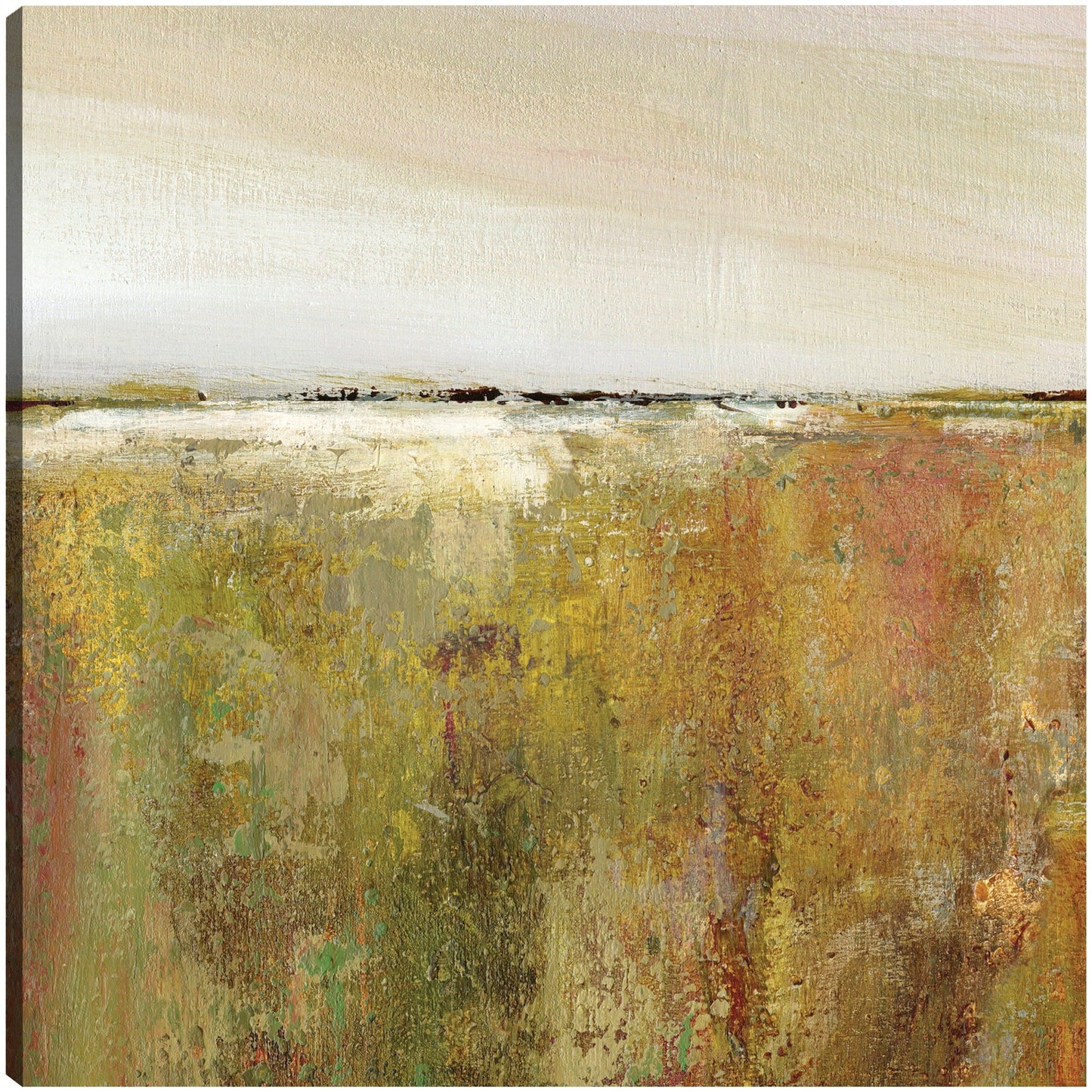Campos de ensueño - Carol Robinson