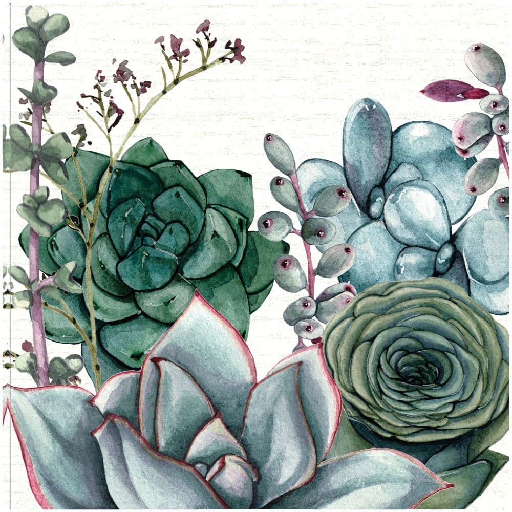 Jardin de Suculentas I - Susan Jill