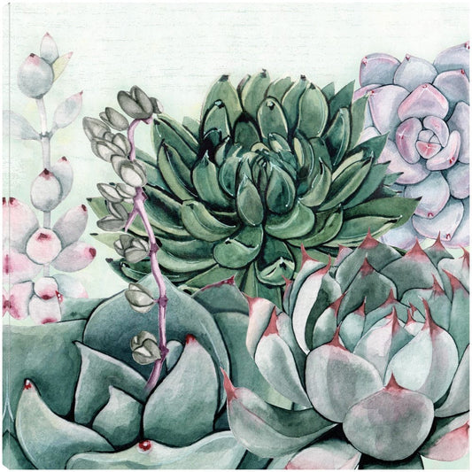 Jardin de Suculentas II - Susan Jill