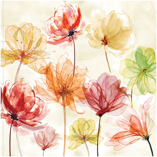 Salpicon de color - Carol Robinson