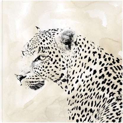 Manchas de Leopardo II - Carol Robinson