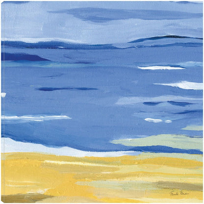 Costa Abstracta - Farida Zaman