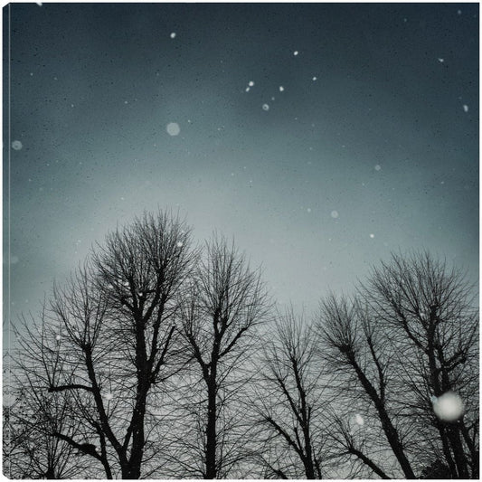 Cielo de invierno - Andre Eichman