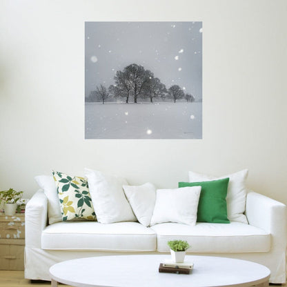 Árboles en la nieve - Andre Eichman