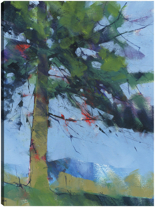 Pino Gilfach - Paul Bailey