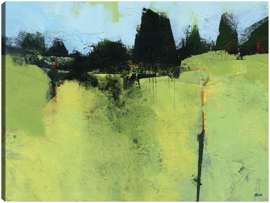 Pliegue verde - Paul Bailey