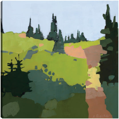 Camino a la cima - Anne Becker