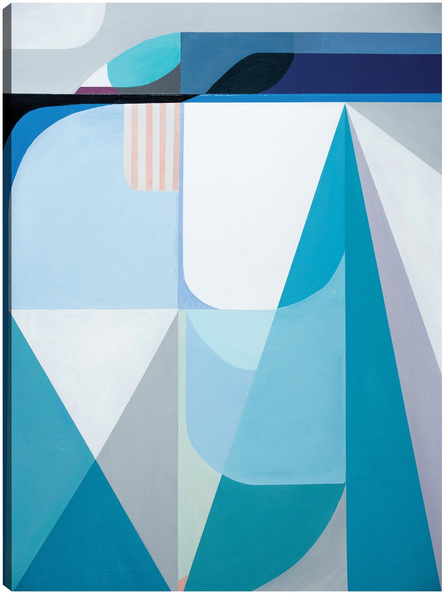 Costas congeladas - Marion Griese