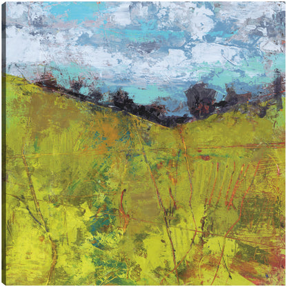 Cielo de verano - Linda Nickell