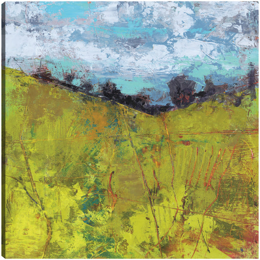 Cielo de verano - Linda Nickell