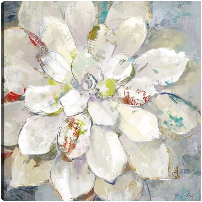 Artistas Bloom I - Heather Hayes