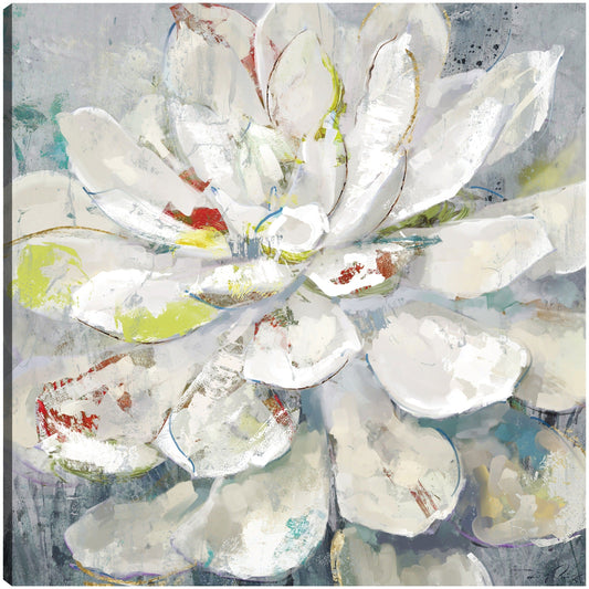 Artistas Bloom II - Heather Hayes