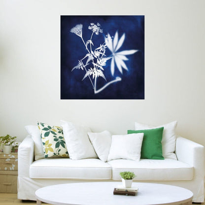 Rayos X Azules I - Heather Hayes