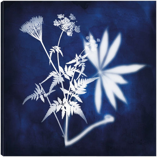 Rayos X Azules I - Heather Hayes