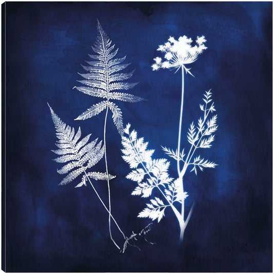 Rayos X Azules II - Heather Hayes