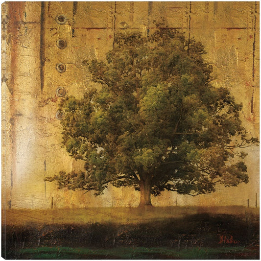 Árbol envejecido I - Patricia Pinto