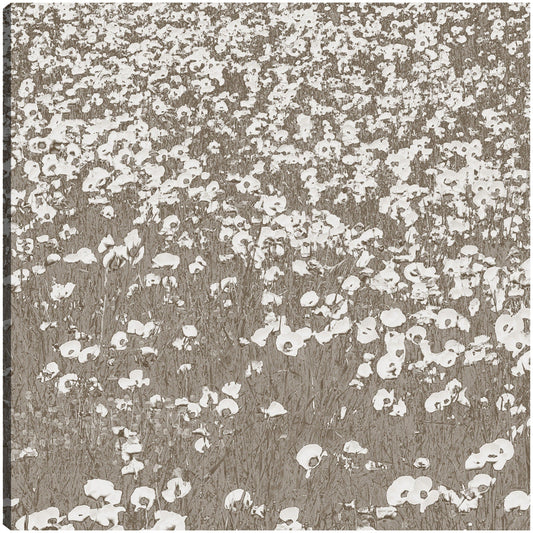 Campos Neutros - Shelley Lake