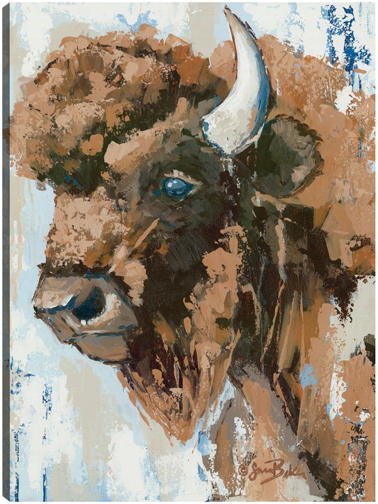 Boone el bisonte - Sara Baker