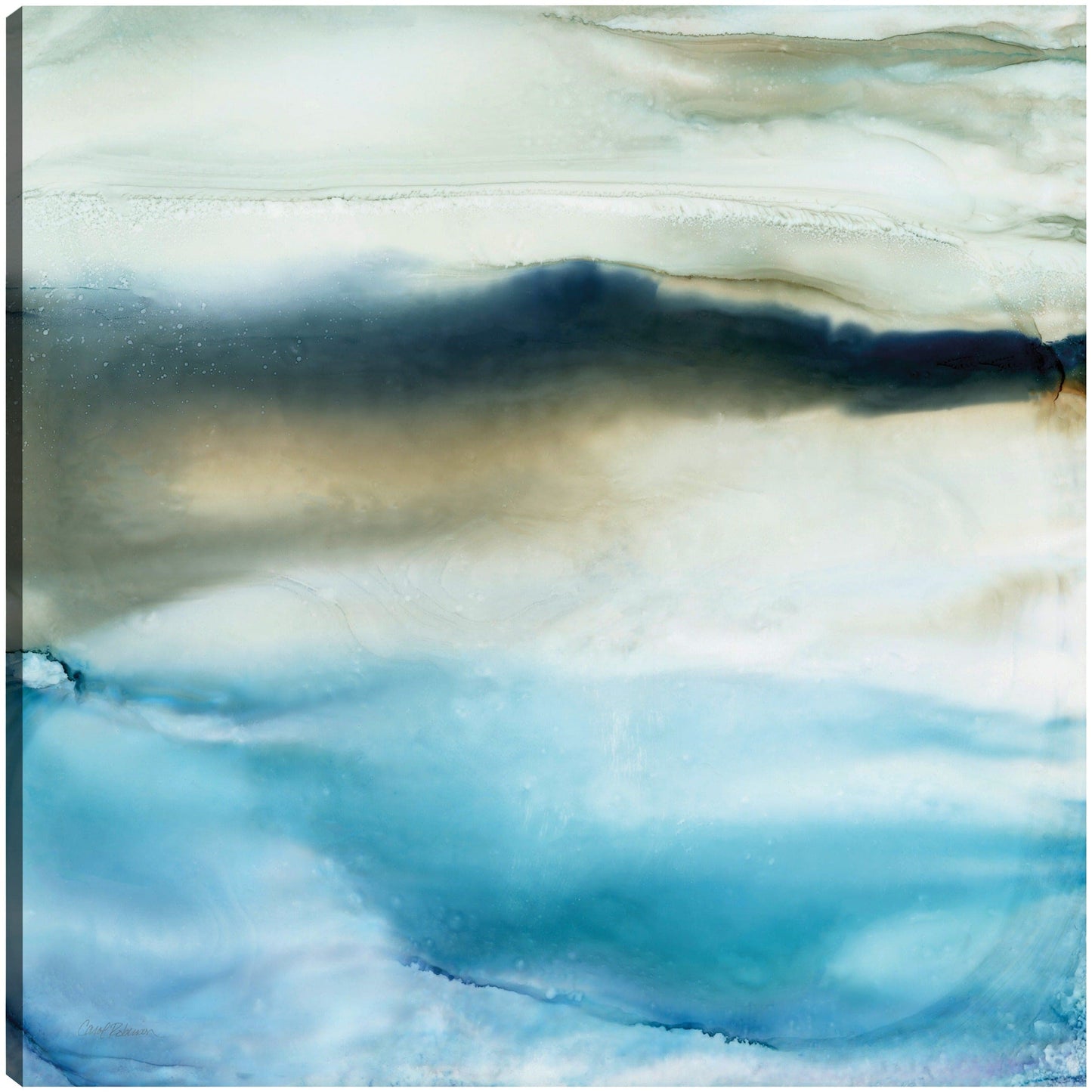 Playa salada - Carol Robinson