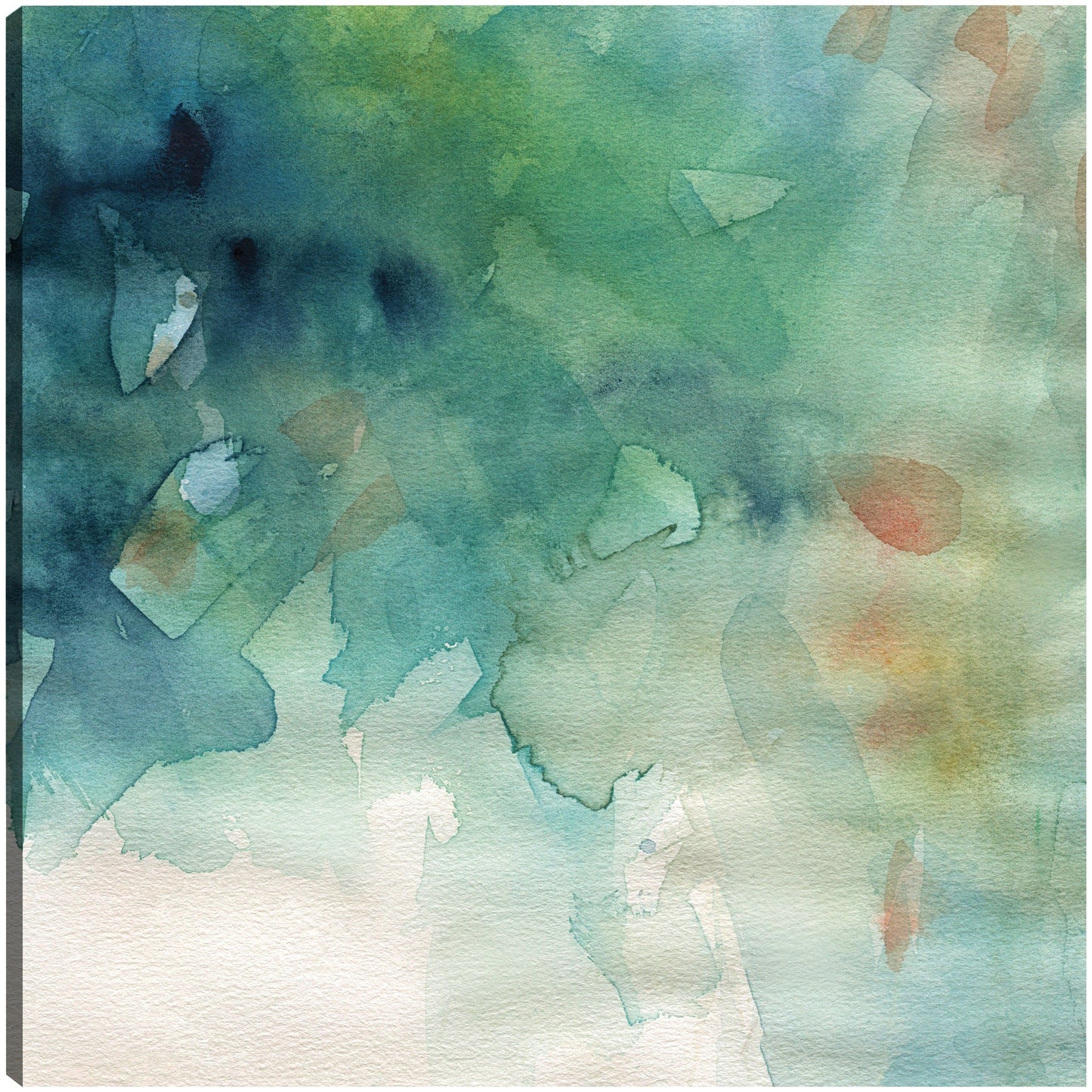 Lavados tropicales - Carol Robinson