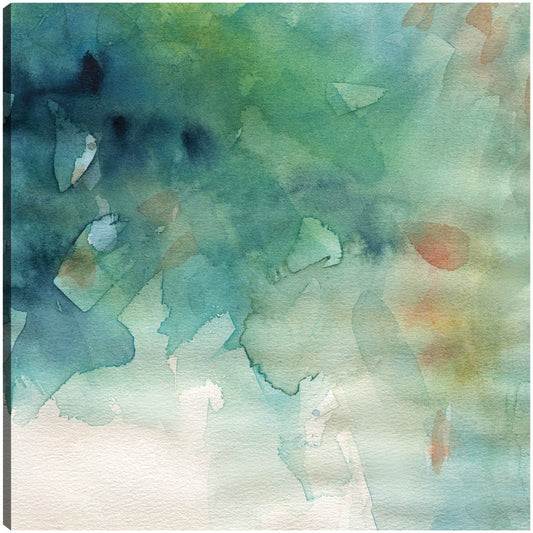 Lavados tropicales - Carol Robinson