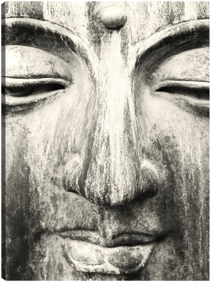 Buda de la belleza zen - DP Gallery