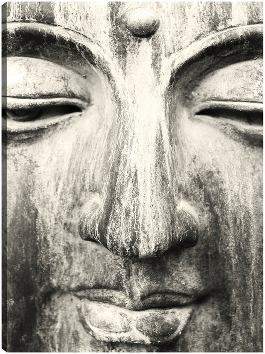 Buda de la belleza zen - DP Gallery