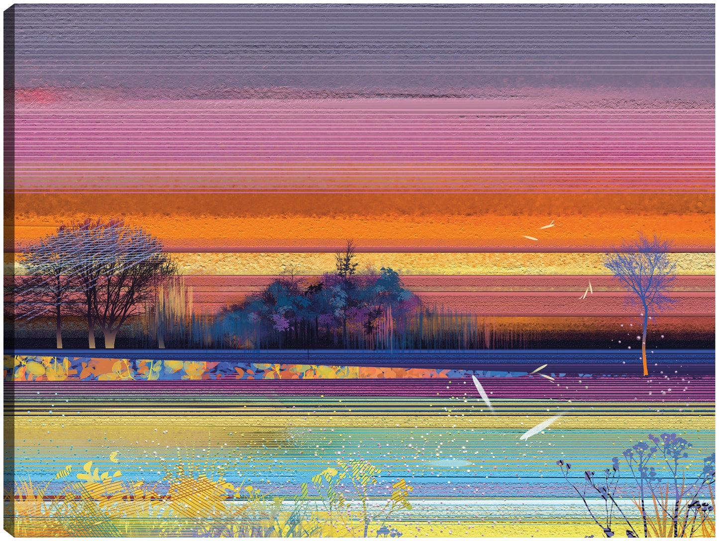 Prado de rayas al atardecer - DP Gallery