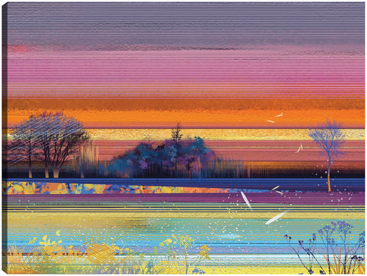 Prado de rayas al atardecer - DP Gallery