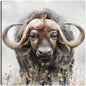 Baxter - Studio Arts