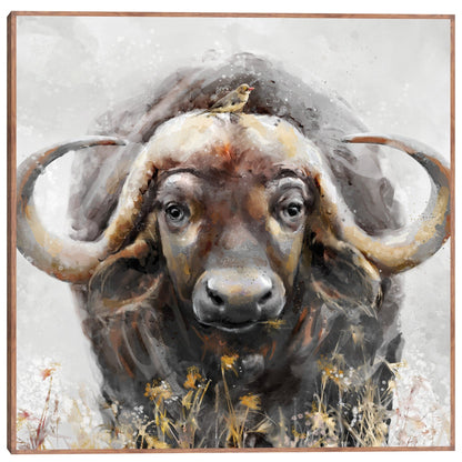 Baxter - Studio Arts
