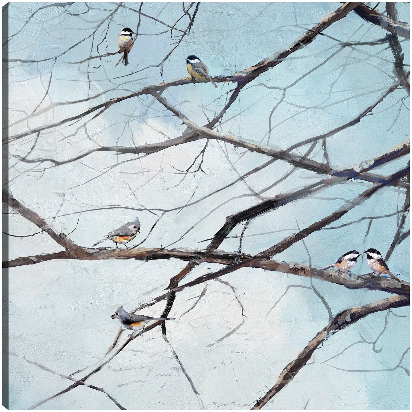 Observación de aves - Studio Arts