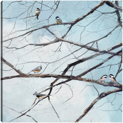 Observación de aves - Studio Arts