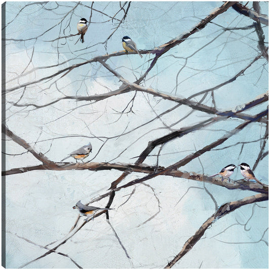 Observación de aves - Studio Arts
