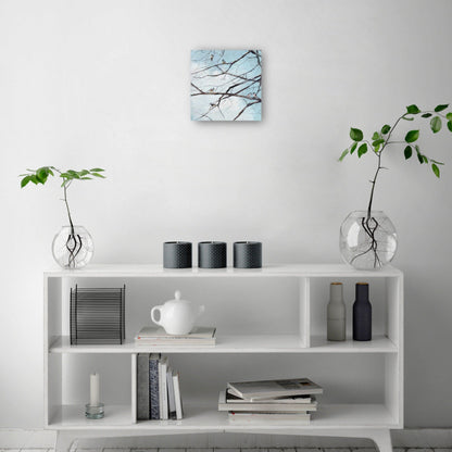 Observación de aves - Studio Arts