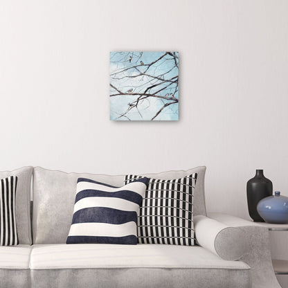 Observación de aves - Studio Arts