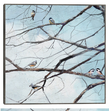 Observación de aves - Studio Arts